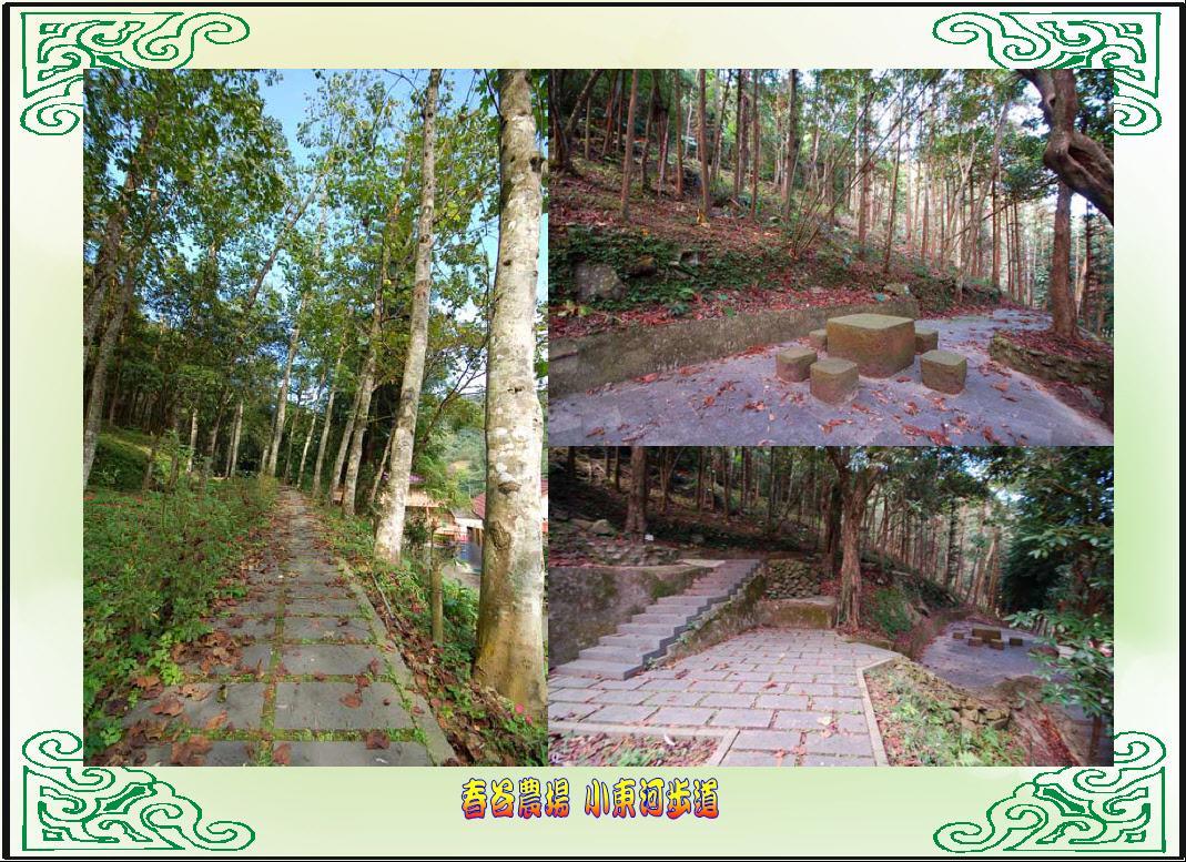 Chun Gu Farm Villa Nam Trang Ngoại thất bức ảnh